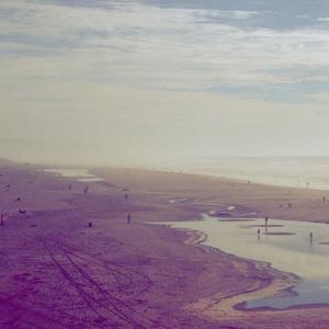 Meet your Posher, Nicholas